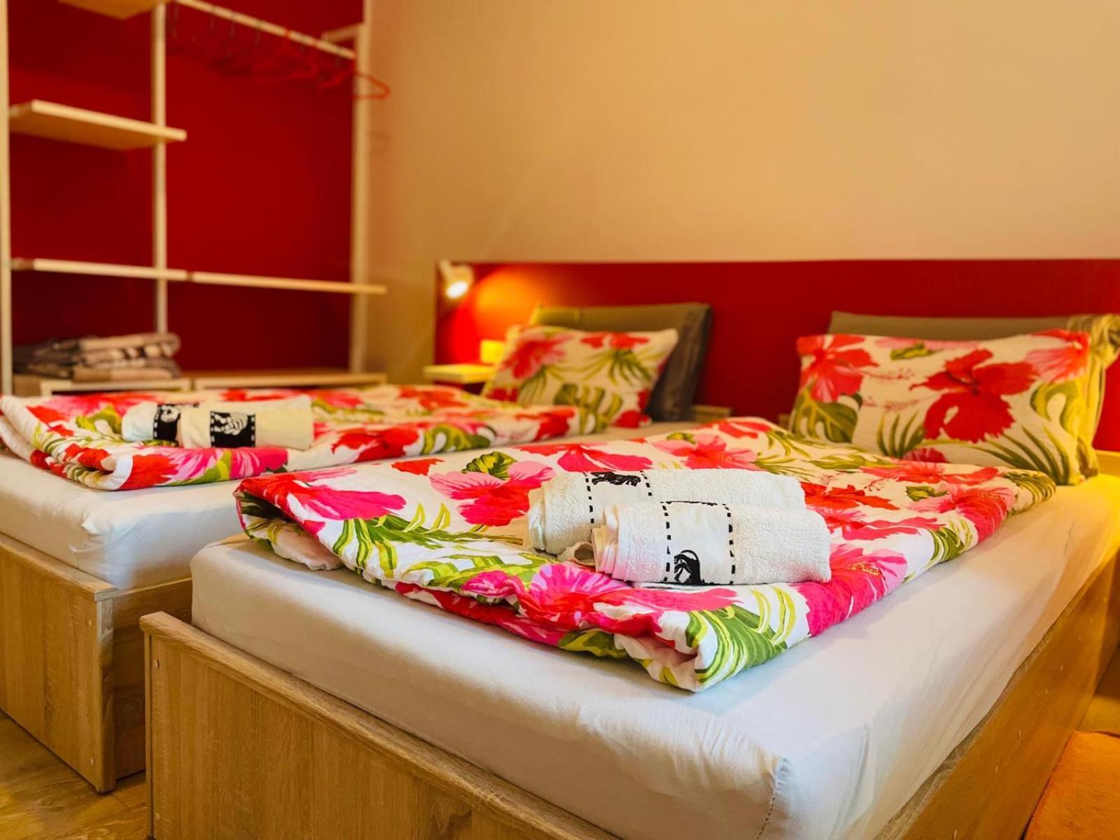 Boutique Apartment With Private Pool For Your Exclusive Use Novigrad  Exterior photo